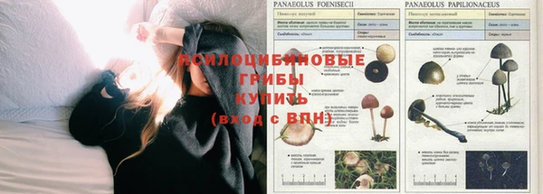 круглые Зеленокумск