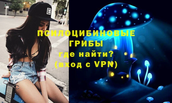 MDMA Premium VHQ Зерноград
