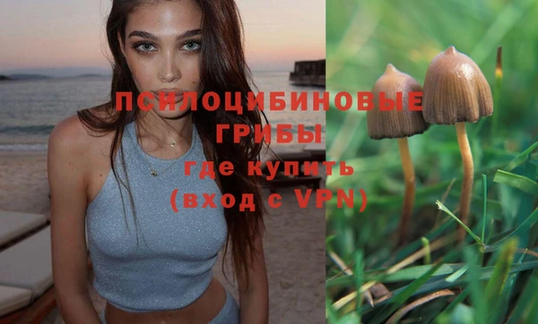 круглые Зеленокумск