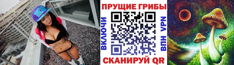 Галлюциногенные грибы Psilocybine cubensis  Купить где  Кумертау 